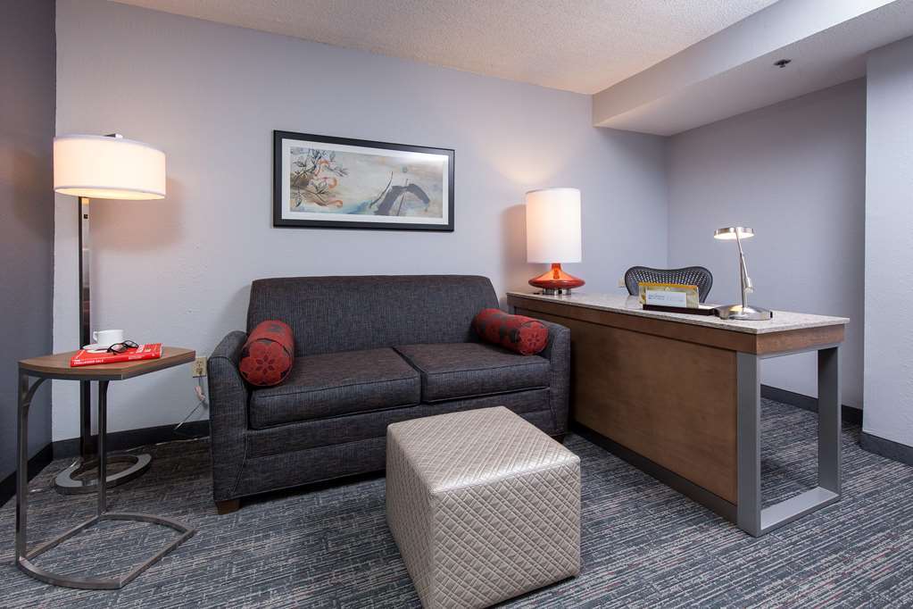 Hilton Garden Inn Atlanta North/Johns Creek Room photo